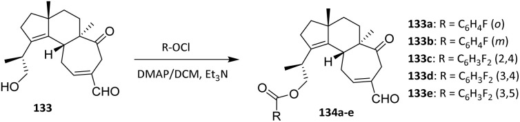 Scheme 29