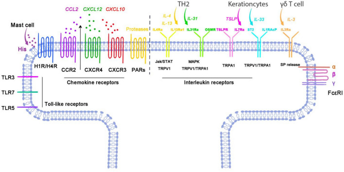 Figure 2