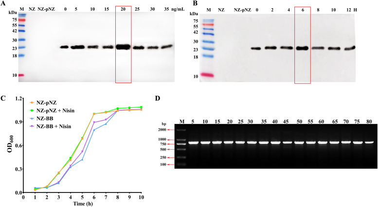 Figure 5