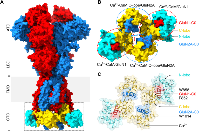 Figure 6