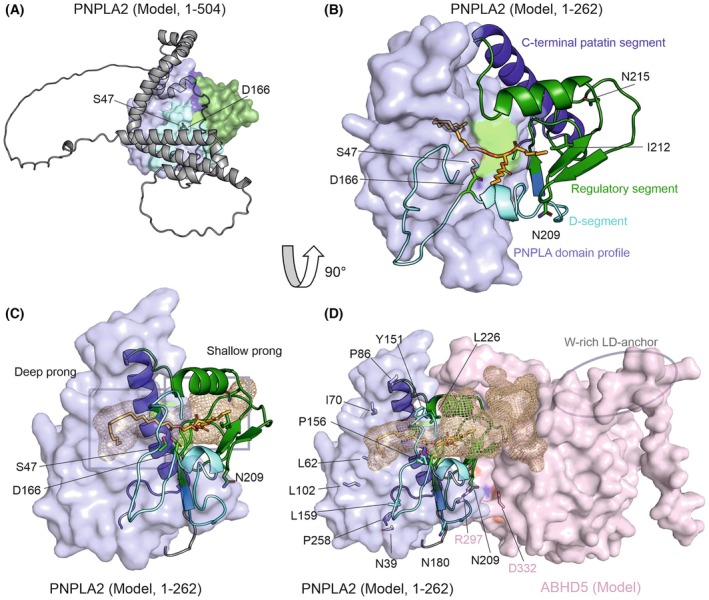 Figure 5