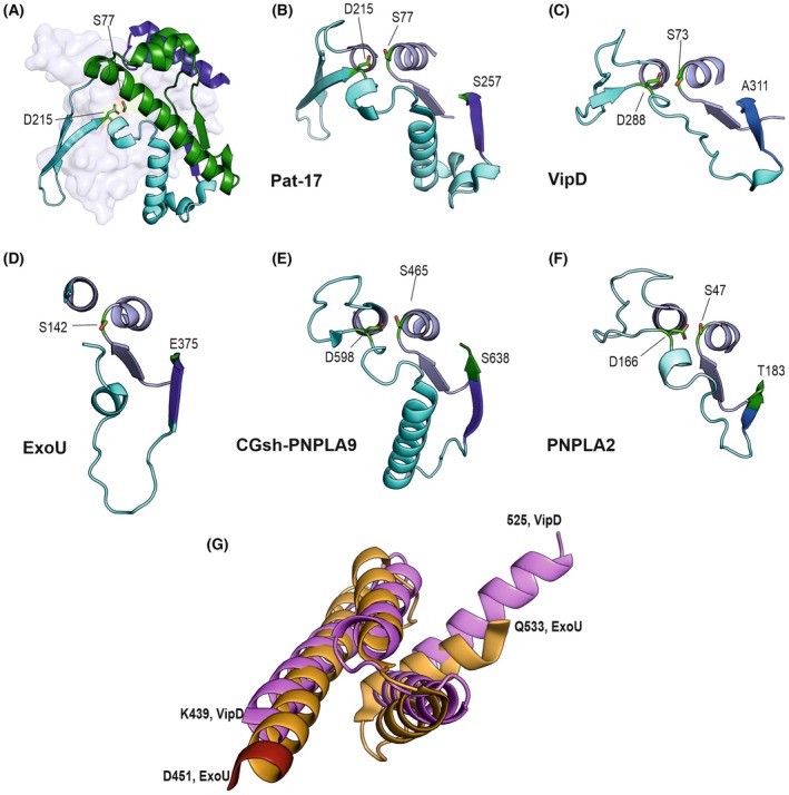 Figure 6