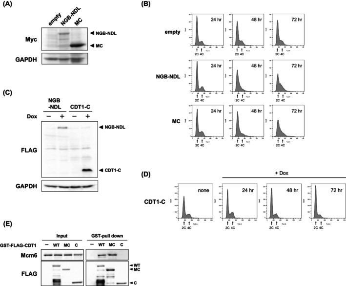 Figure 4