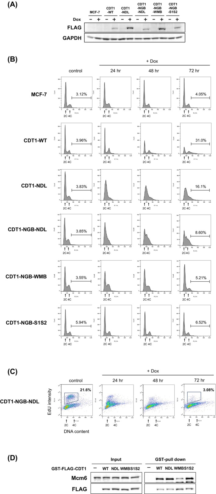 Figure 5