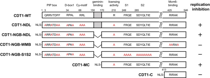 Figure 6