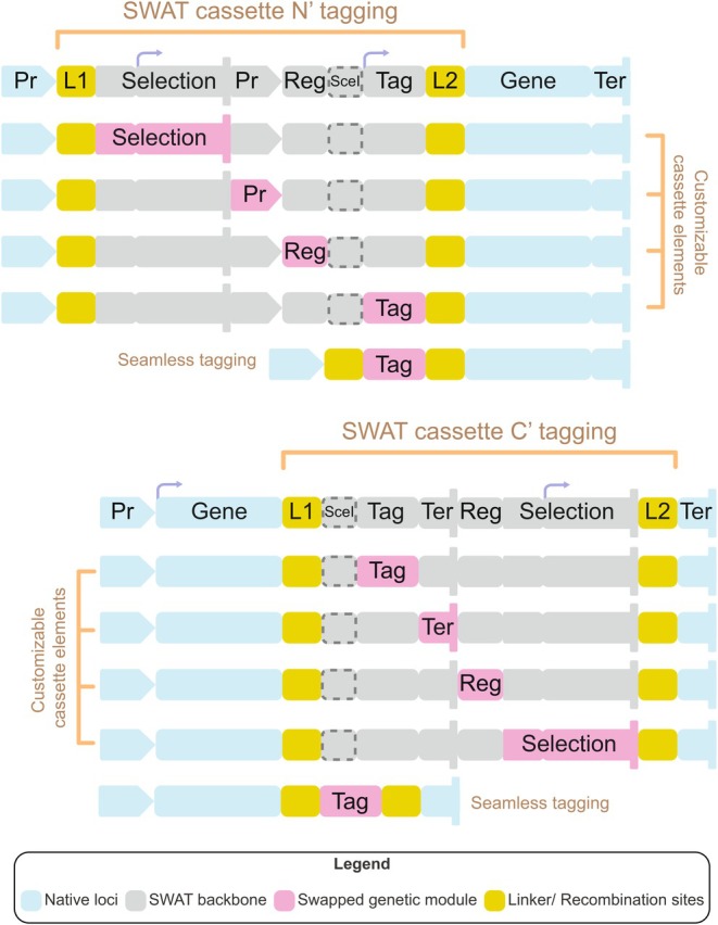 Figure 4