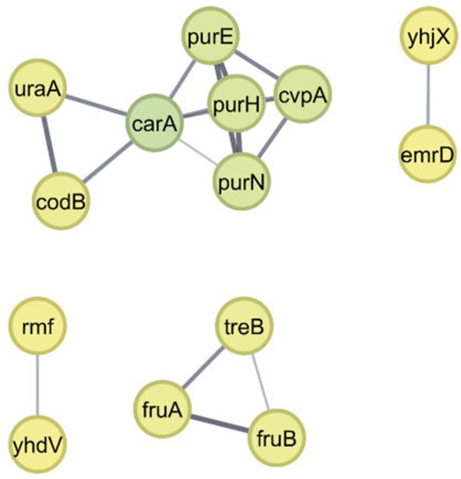 Figure 7