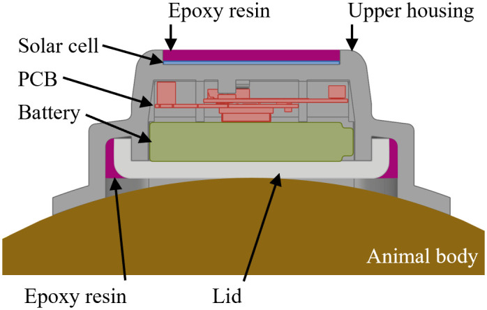 Figure 5
