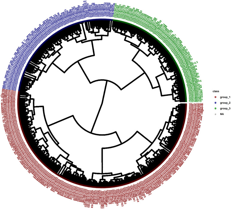 Figure 7