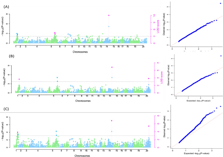 Figure 10