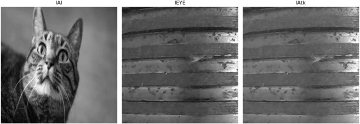 Figure 48