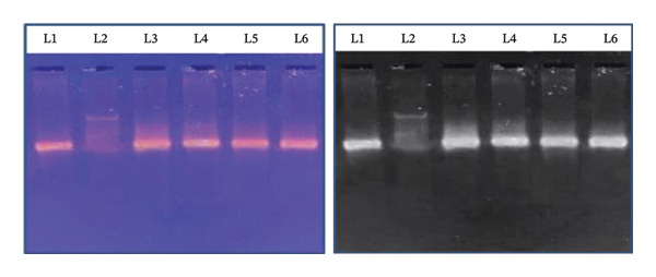 Figure 13