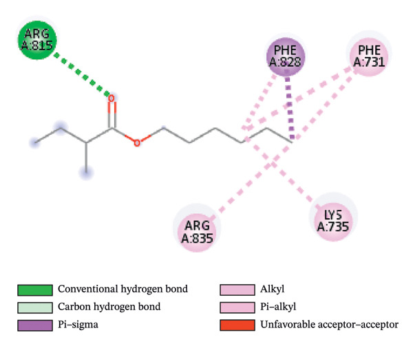 Figure 16
