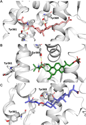 Figure 7