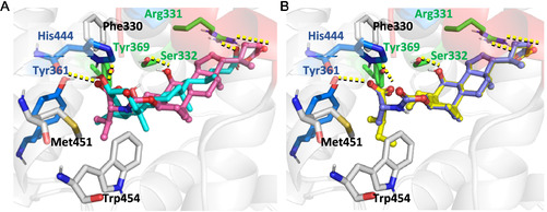 Figure 16