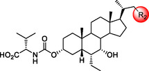 Figure 21