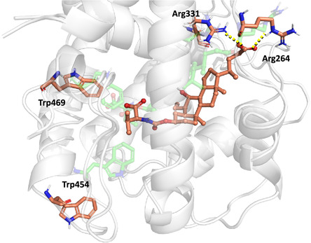 Figure 36
