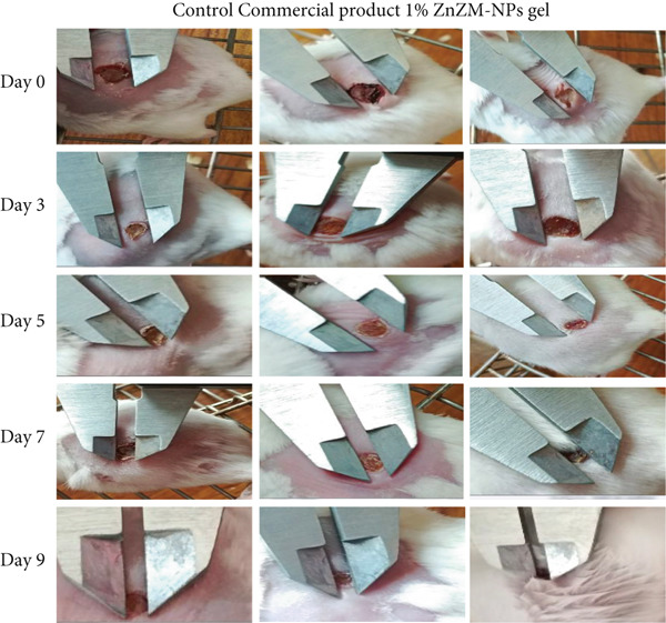Figure 10