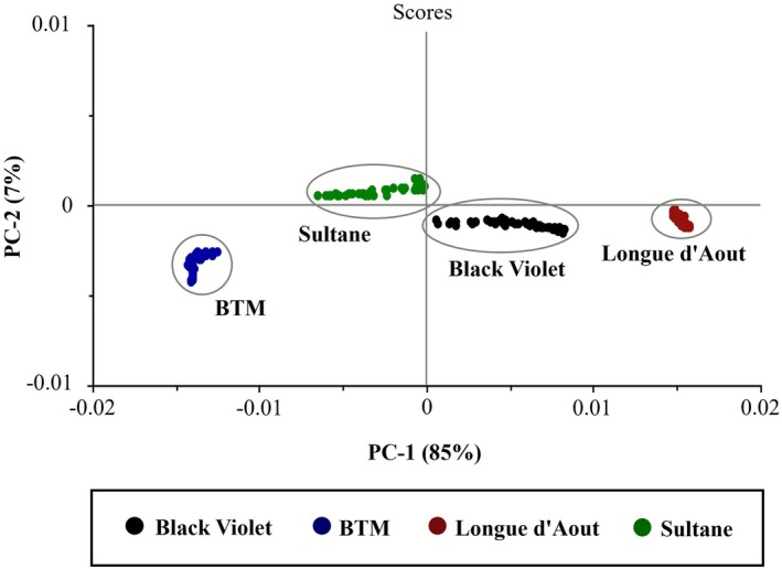 Figure 7