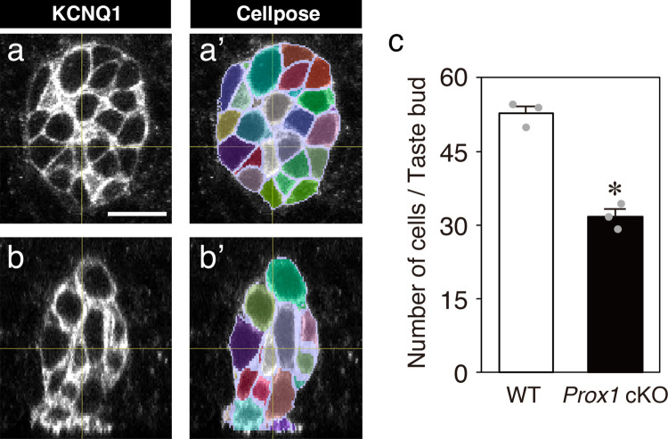 Figure 5