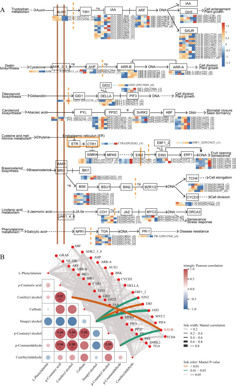 Figure 11