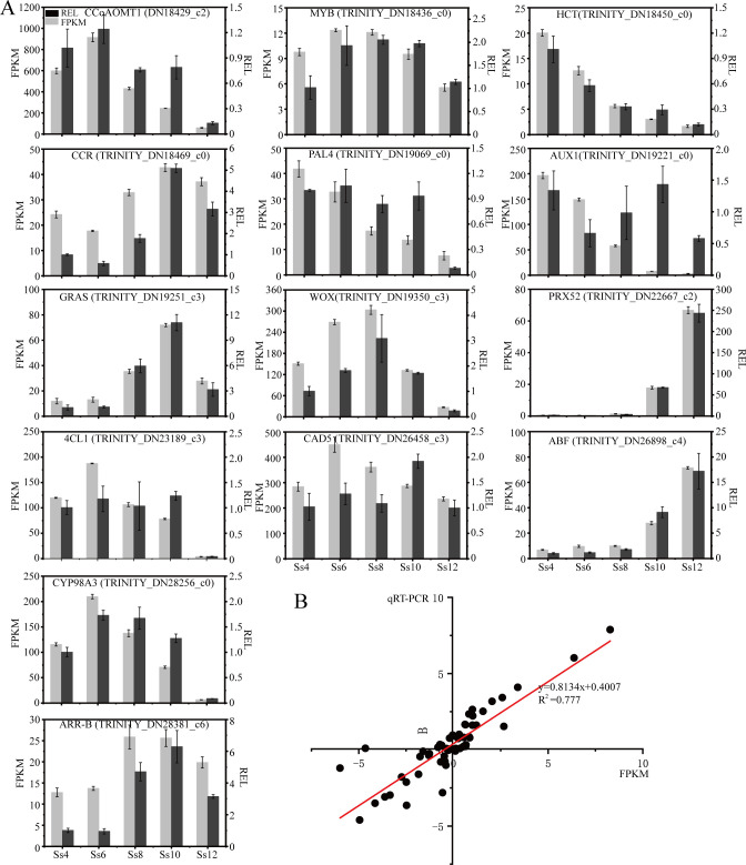 Figure 12