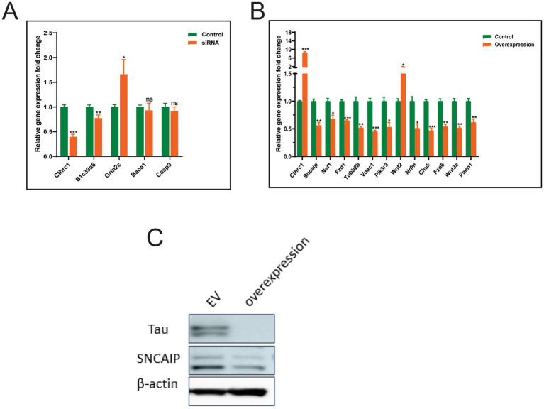 Figure 6
