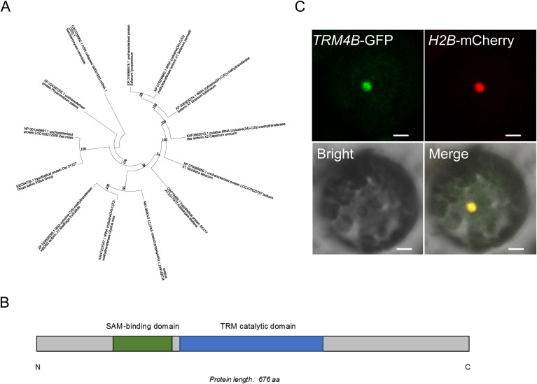 Figure 6