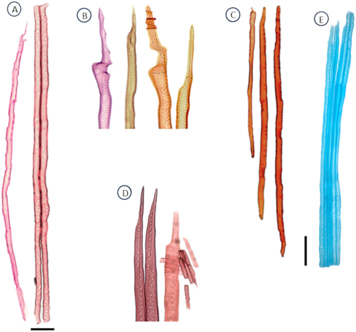 Figure 7