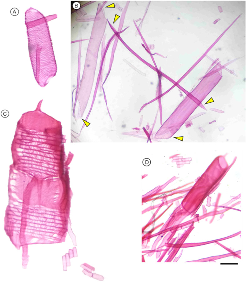 Figure 10