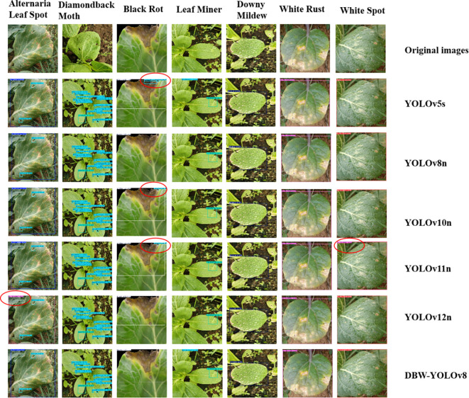Figure 12
