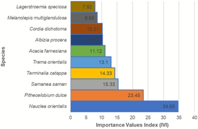 Figure 4