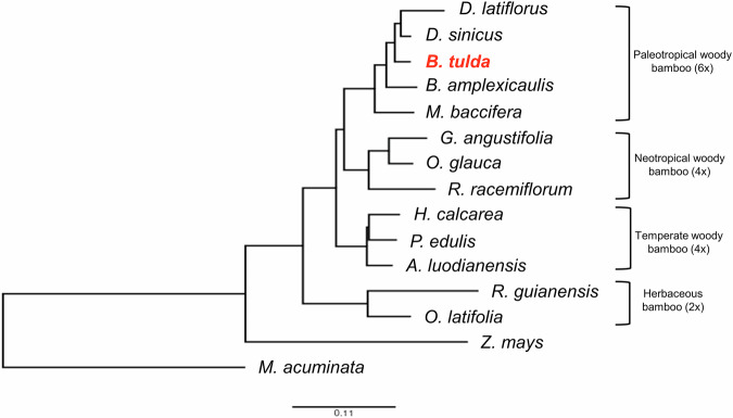 Figure 6