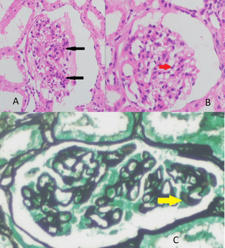 Figure 6