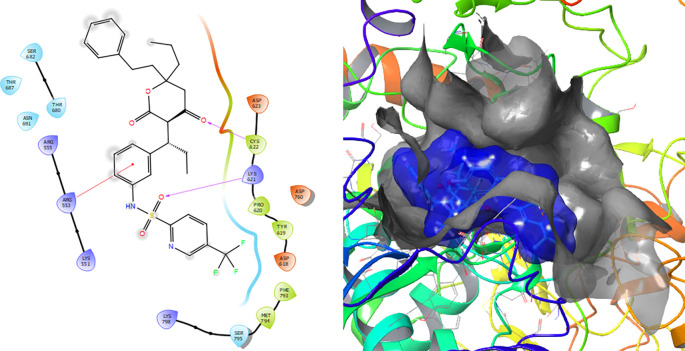Figure 7