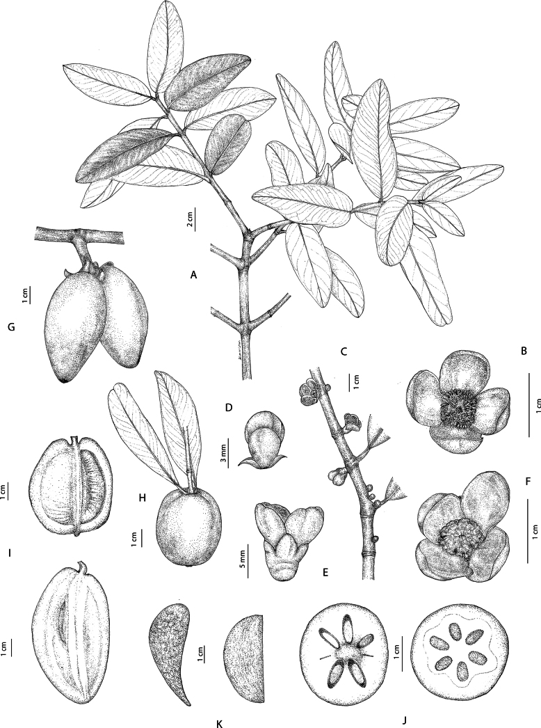 Figure 7