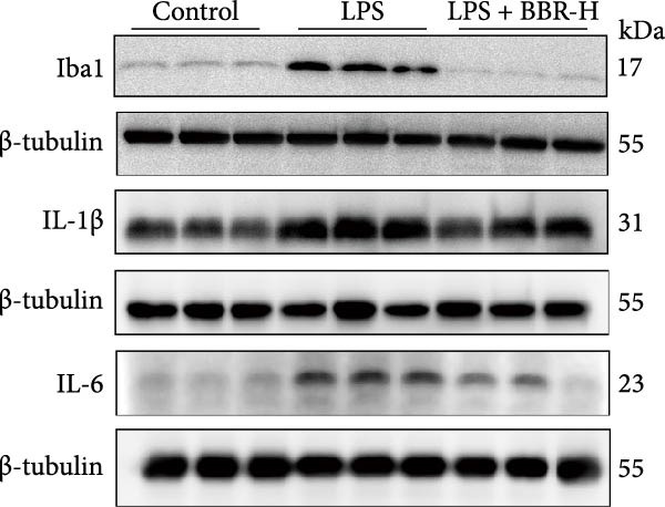 Figure 11