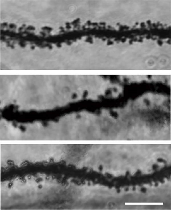 Figure 13