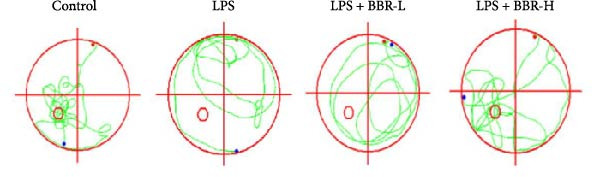 Figure 19