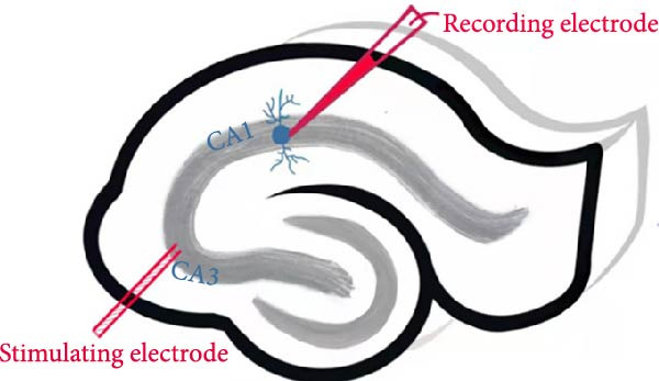 Figure 23