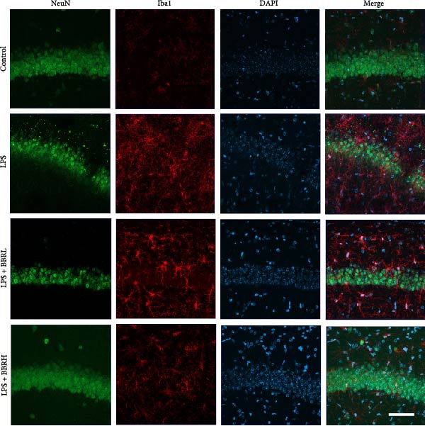 Figure 26