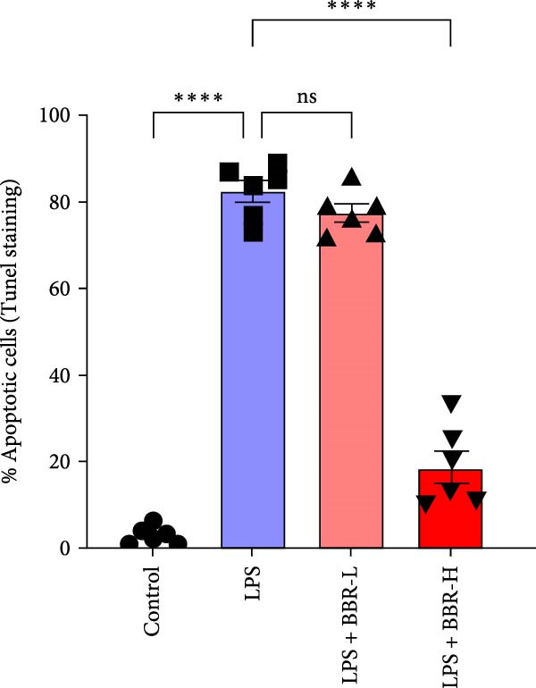 Figure 28