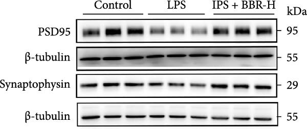 Figure 31
