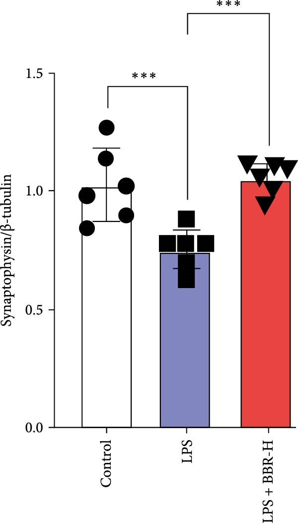 Figure 33