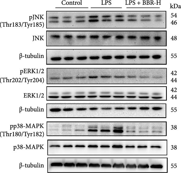 Figure 37