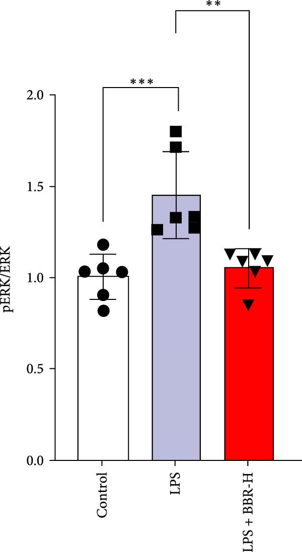 Figure 39