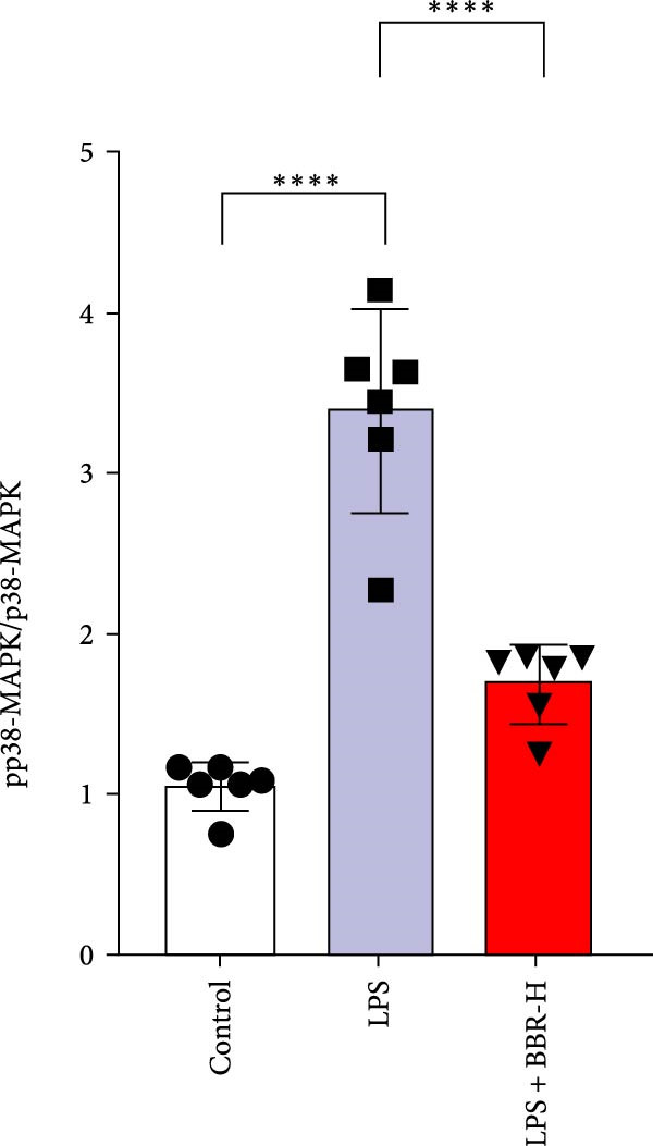 Figure 40