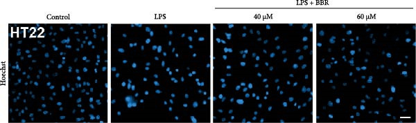 Figure 41