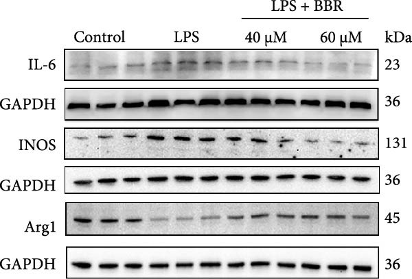 Figure 47