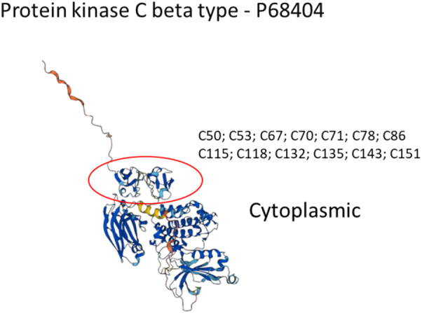 Figure 12